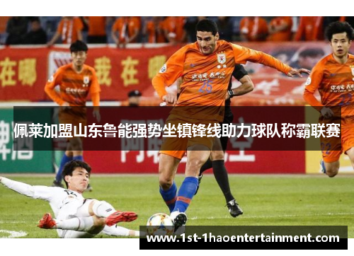 佩莱加盟山东鲁能强势坐镇锋线助力球队称霸联赛 佩莱加盟山东鲁能强势坐镇锋线助力球队称霸联赛