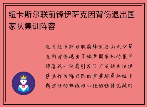 纽卡斯尔联前锋伊萨克因背伤退出国家队集训阵容